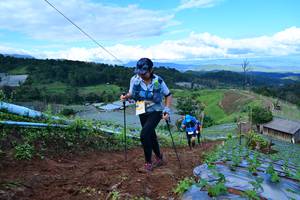 BIB: 
                            <button type="button" onclick="openModal(13383037)" class="btn btn-primary btn-sm float-right btn-popup" data-toggle="modal" data-target=".modal-high-quality">
                        <i class="fas fa-shopping-cart"></i> Add to Cart
                    </button>
                                            <button type="button" onclick="isThisMe(13383037, true)" class="btn btn-success btn-sm float-right btn-popup btn-isme hidden" data-toggle="tooltip" data-placement="bottom" title="นี่คือรูปของคุณใช่ไหม คลิกที่นี่เพื่อเอาเข้าอัลบั้ม">
                        <i class="fas fa-plus"></i> Add to album
                    </button>
                    <button type="button" onclick="isThisMe(13383037, false)" class="btn btn-warning btn-sm float-right btn-popup btn-isnotme hidden">
                        <i class="fas fa-ban"></i> Remove from album
                    </button>